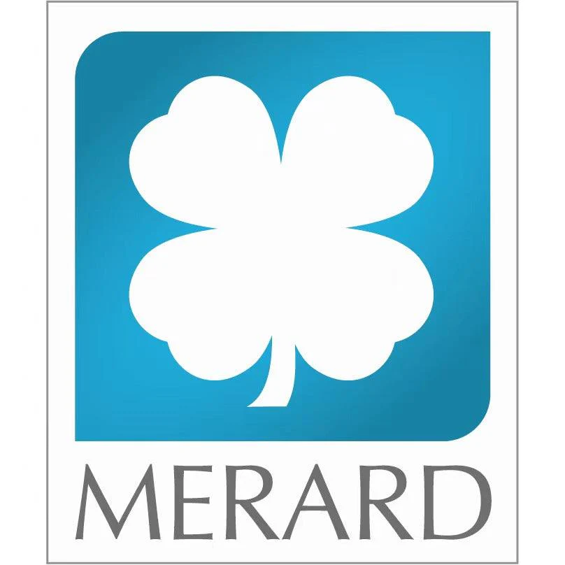 MERARD LUXOR logo