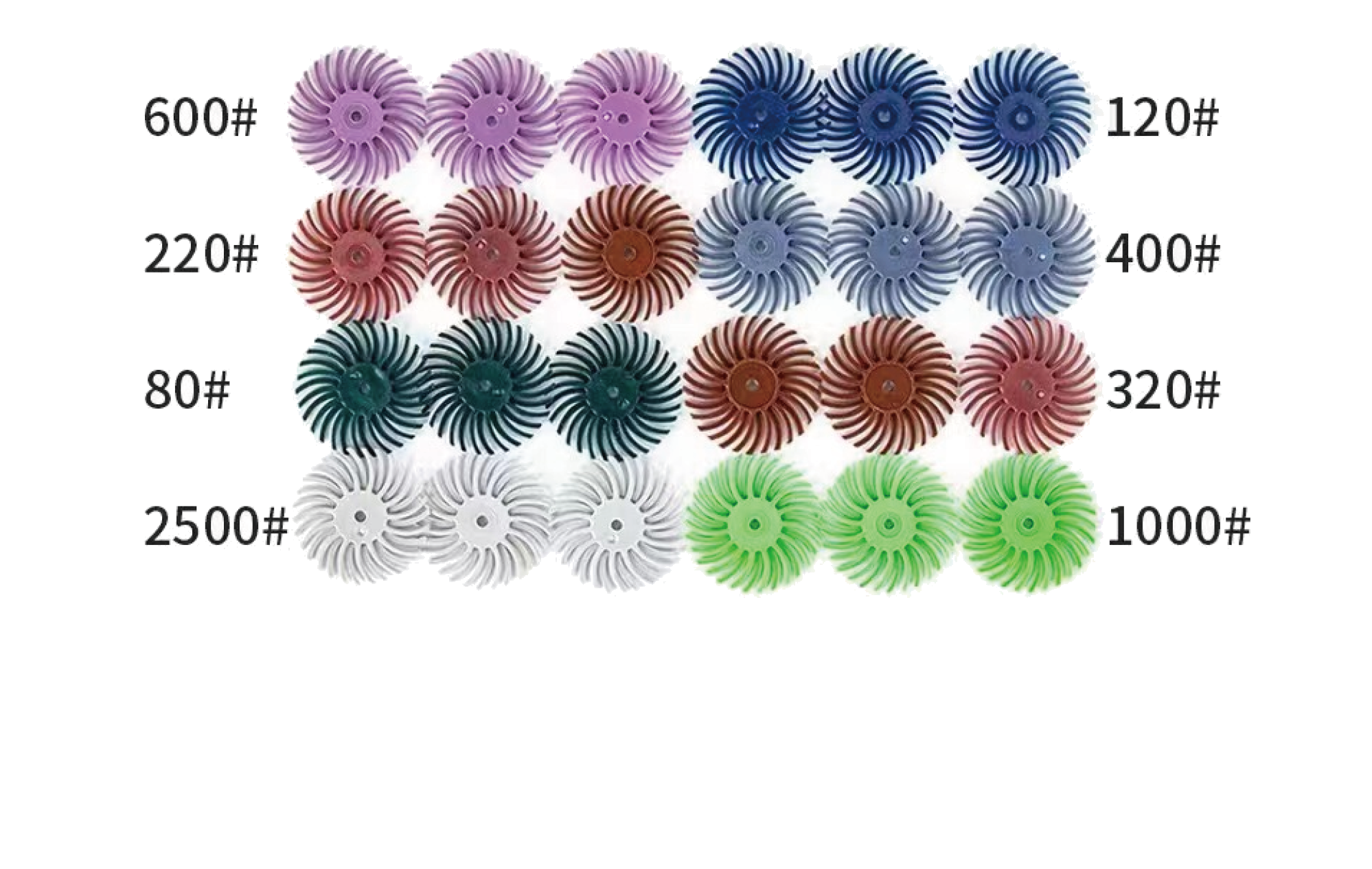 Radial Bristle Disc image 2