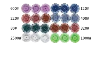 Radial Bristle Disc image 2